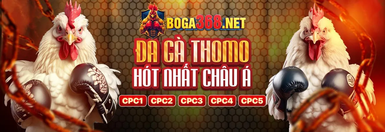 Đá Gà Trực Tuyến CM88